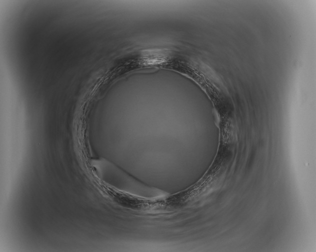 X0000115511441200911061347