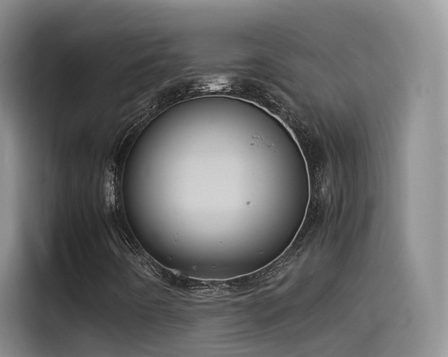 X0000115511442200911061347