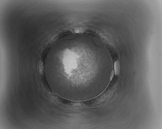 X0000115511443200911061347