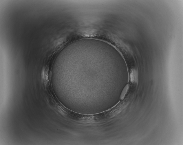 X0000115511444200911061347