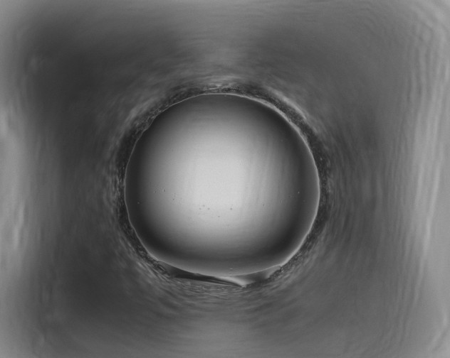 X0000115511447200911061347