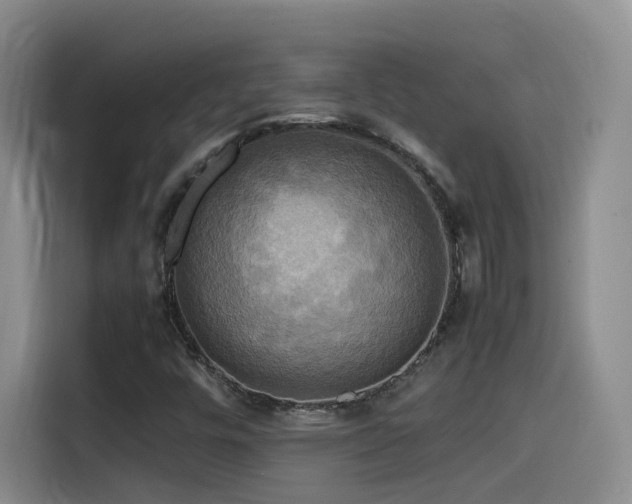 X0000115511448200911061347