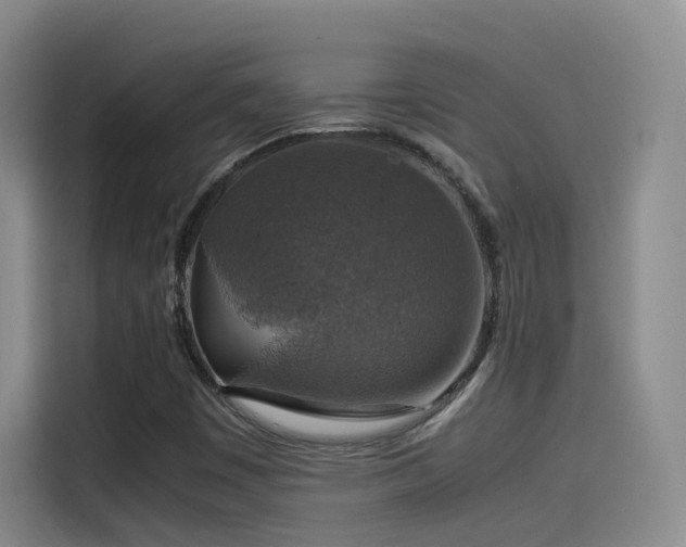 X0000115511449200911061347
