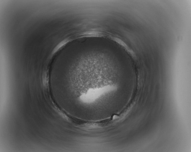 X0000115511450200911061347