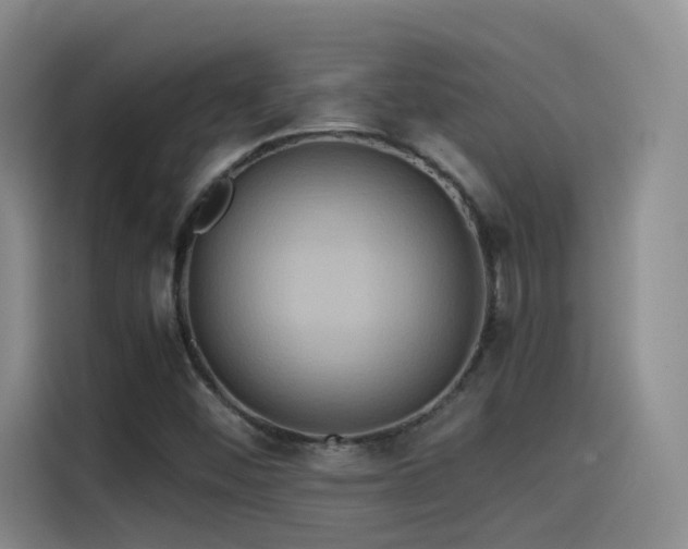 X0000115511452200911061347