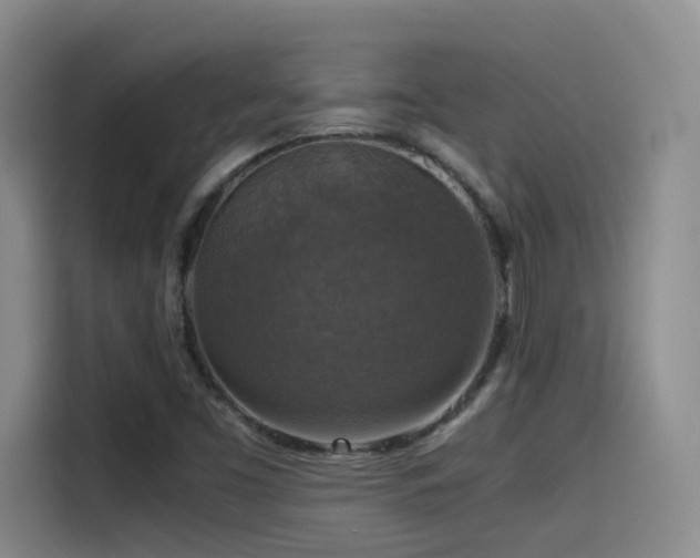 X0000115511453200911061347