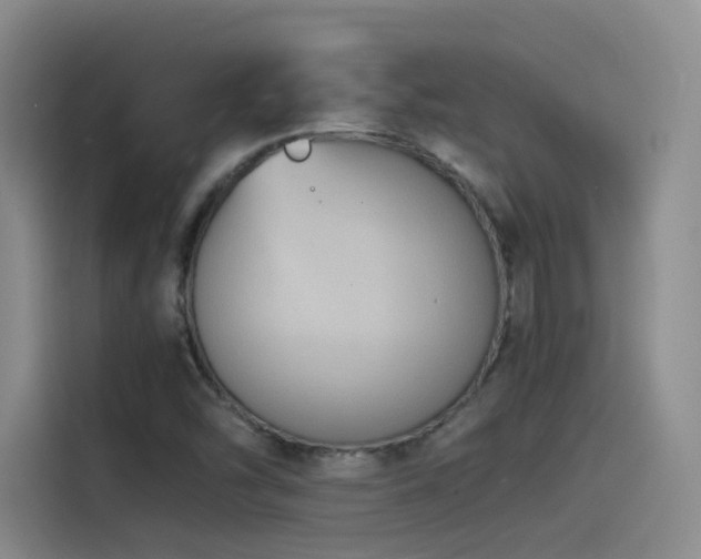 X0000115511454200911061347