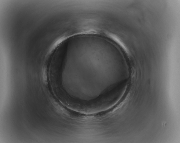 X0000115511455200911061347