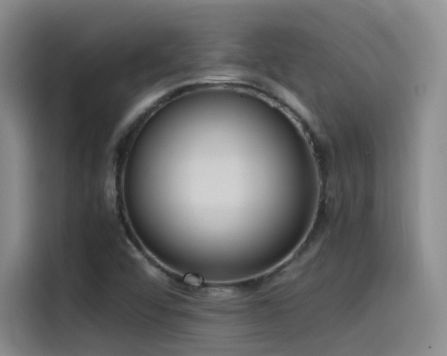 X0000115511456200911061346
