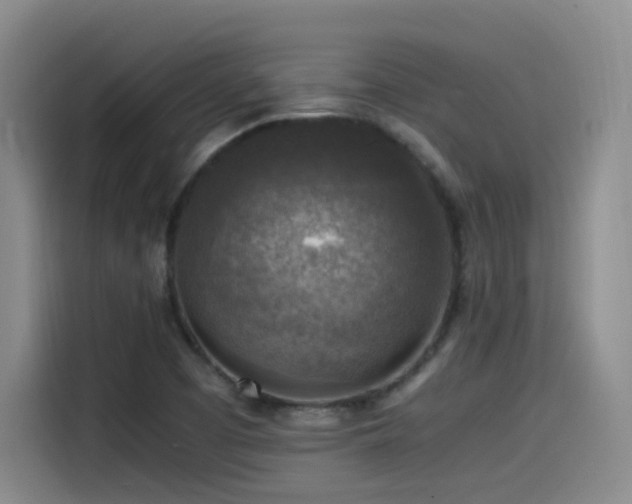 X0000115511457200911061346