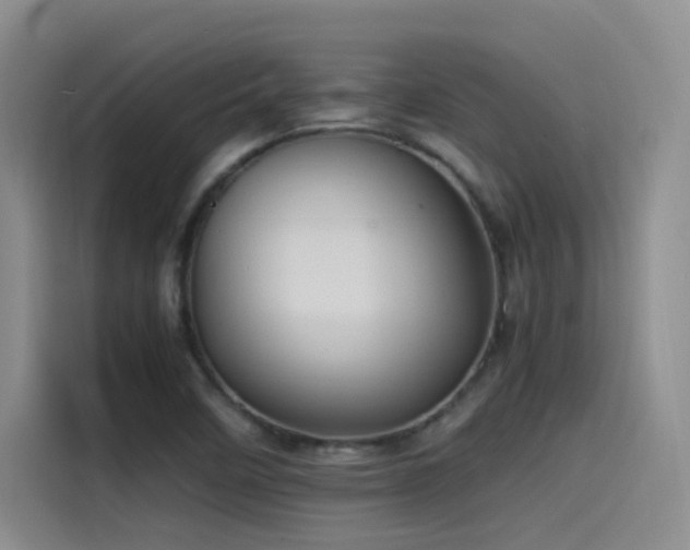 X0000115511458200911061346