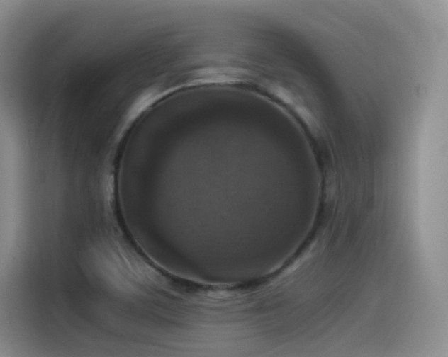 X0000115511459200911061346