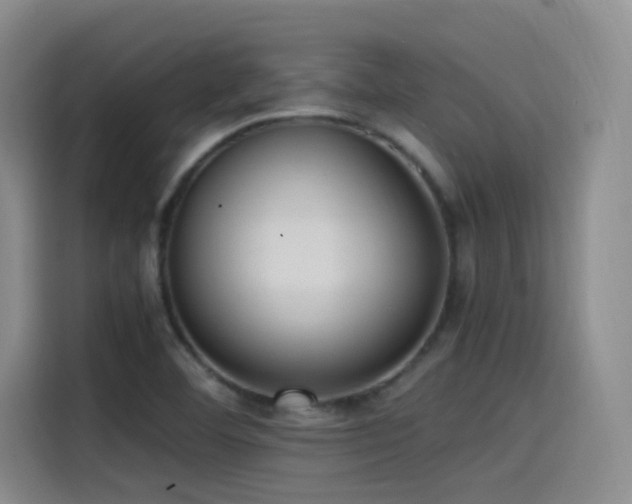 X0000115511460200911061346