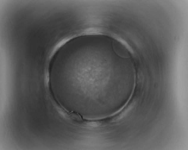 X0000115511461200911061346
