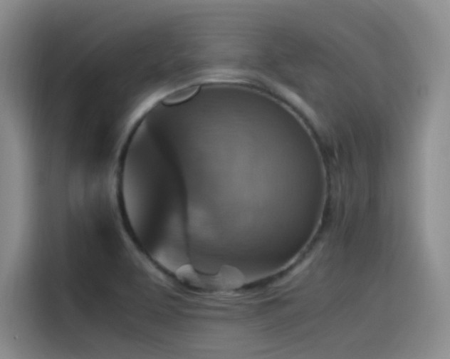 X0000115511463200911061346