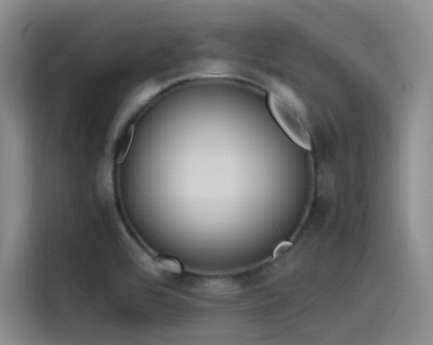 X0000115511464200911061346