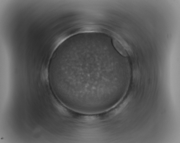 X0000115511465200911061346