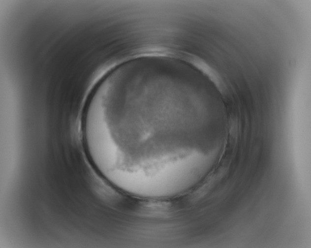 X0000115511466200911061346