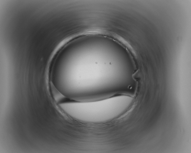 X0000115511469200911061346