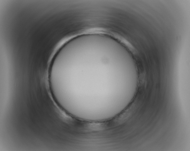 X0000115511470200911061346
