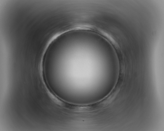 X0000115511471200911061346