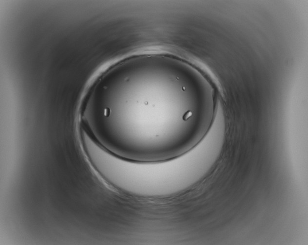 X0000115511472200911061346