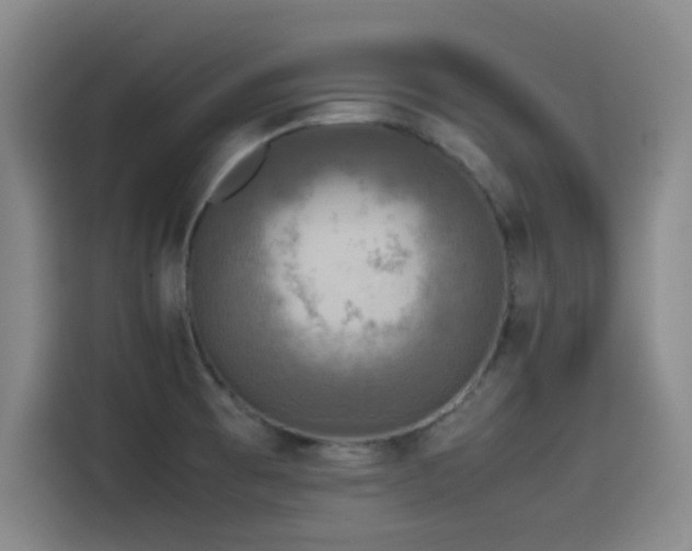 X0000115511473200911061346