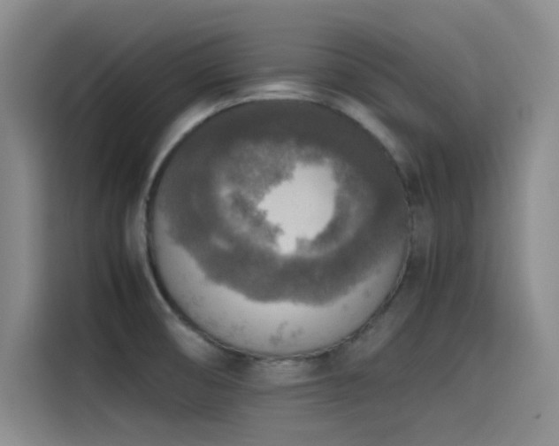 X0000115511474200911061346