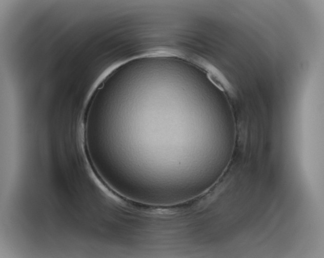 X0000115511476200911061346
