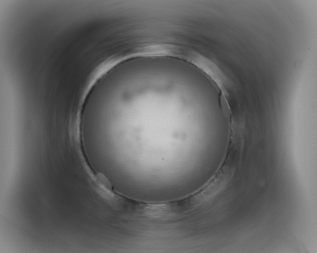X0000115511477200911061346