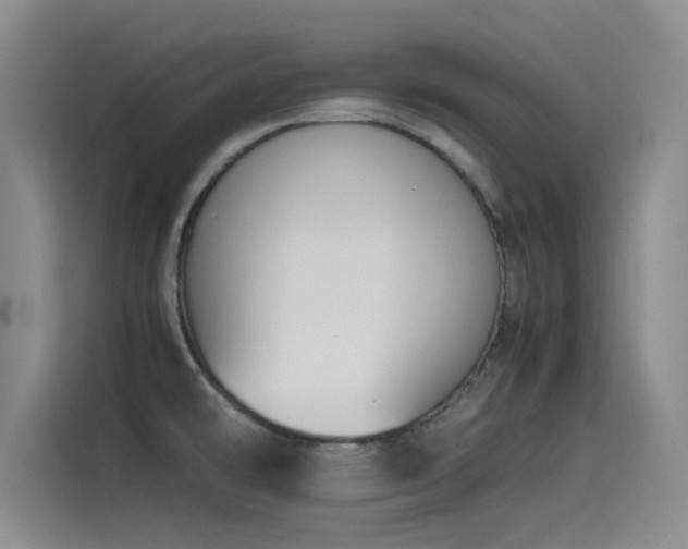 X0000115511478200911061346