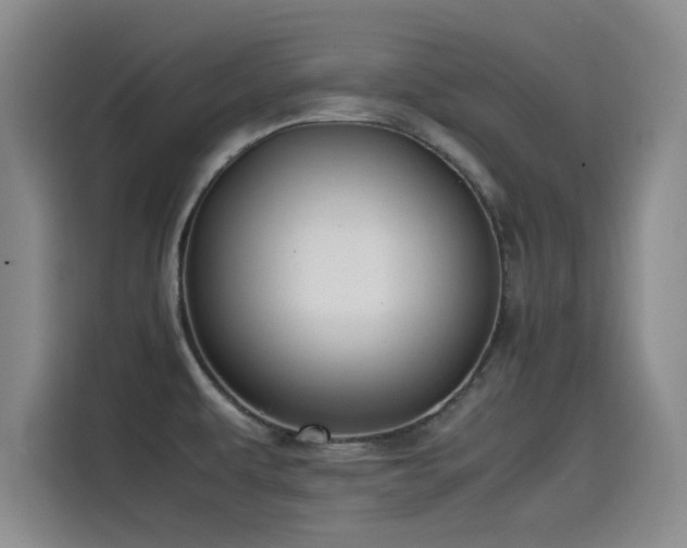 X0000115511479200911061346