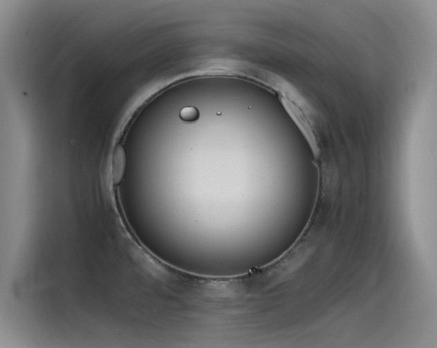 X0000115511480200911061346