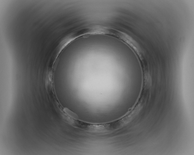 X0000115511481200911061346