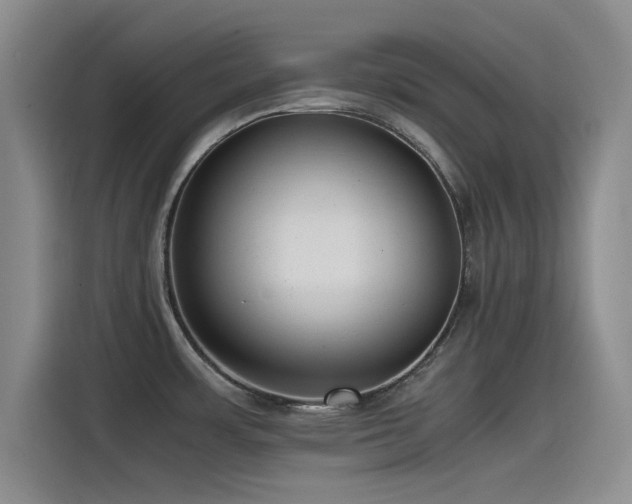 X0000115511483200911061346