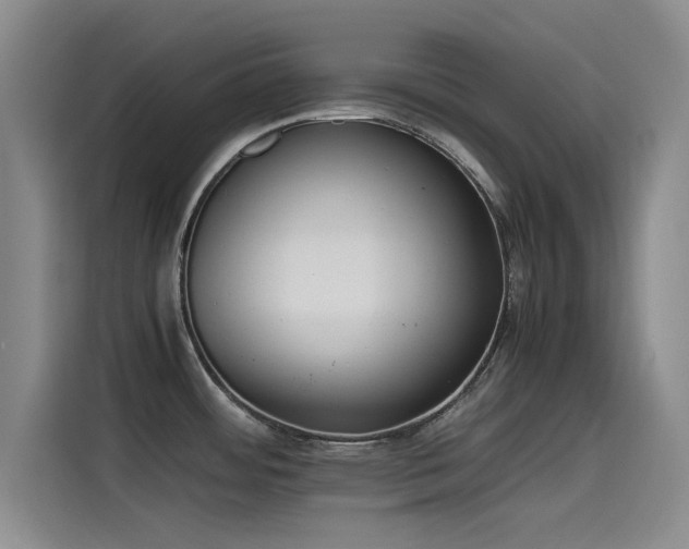 X0000115511484200911061346