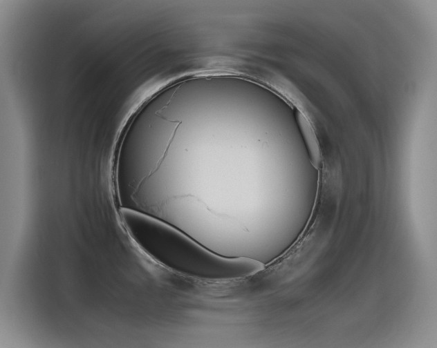 X0000115511485200911061346
