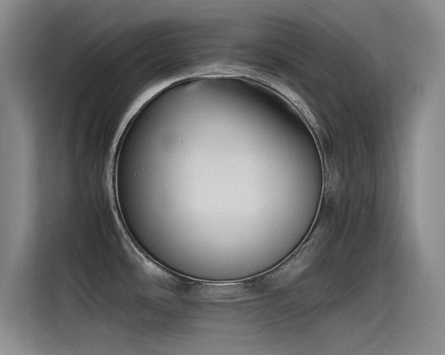 X0000115511486200911061346