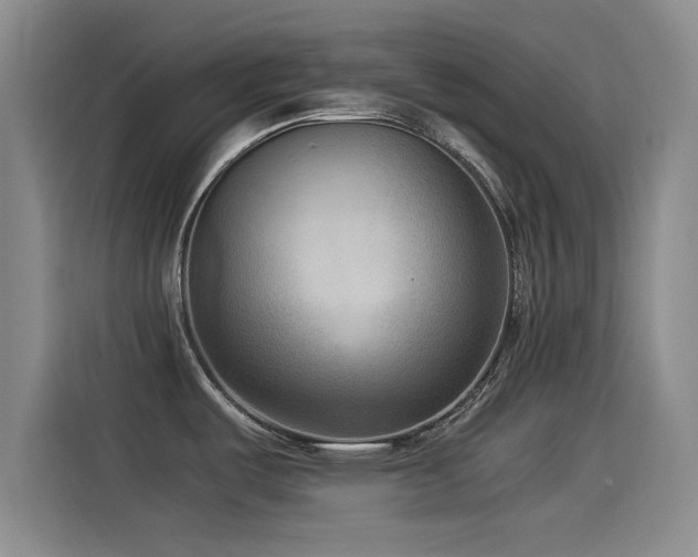 X0000115511487200911061346