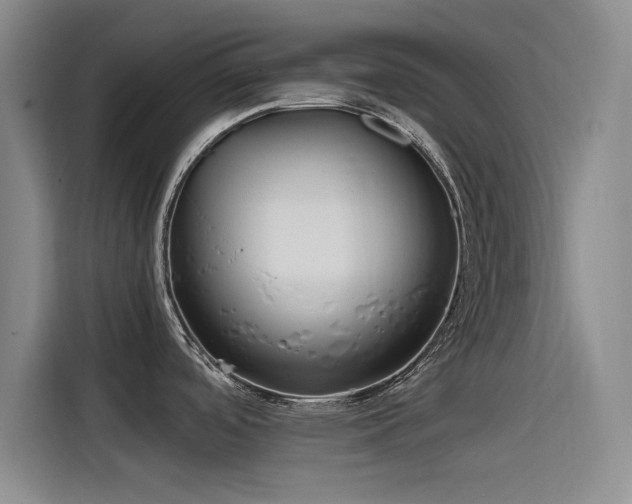 X0000115511488200911061346
