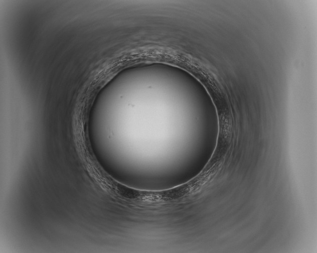X0000115511489200911061345