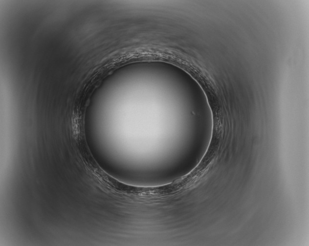 X0000115511490200911061345
