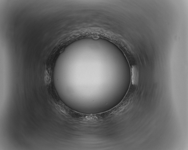 X0000115511491200911061345