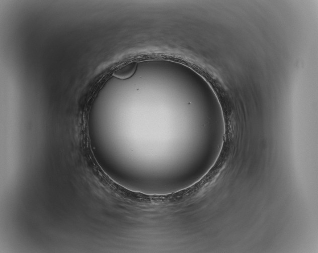 X0000115511494200911061346