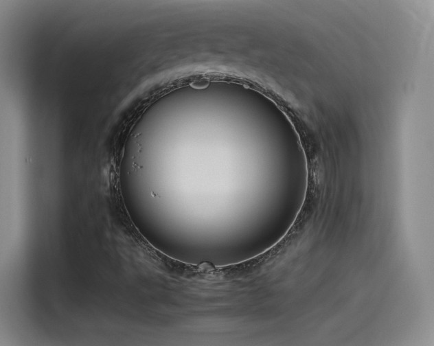 X0000115511495200911061346