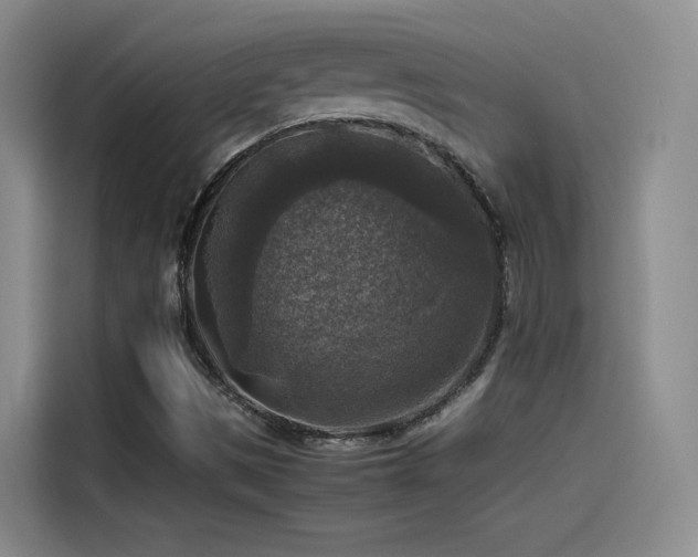 X0000115511497200911061346