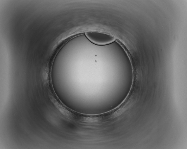 X0000115511499200911061346