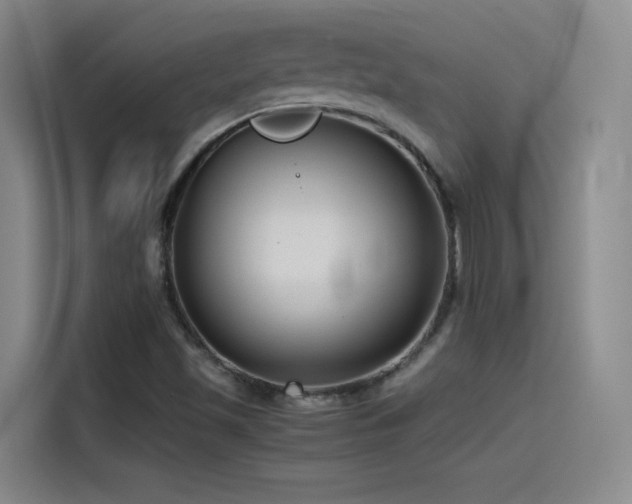 X0000115511501200911061346