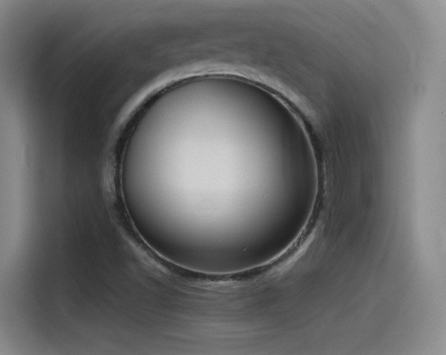 X0000115511502200911061346