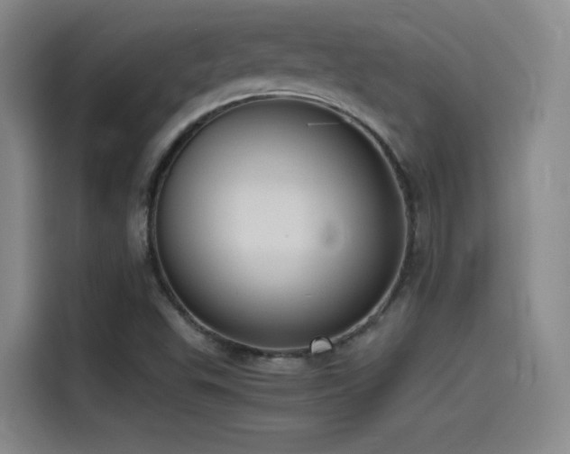 X0000115511503200911061346